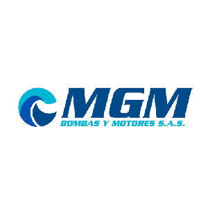 Diseño web mgm